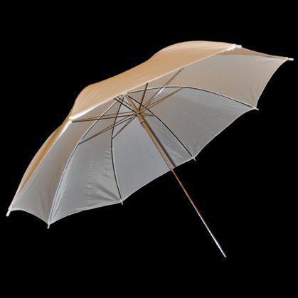 black Friday Professional Photography 33 Reflective TranslucentB00548CDB2