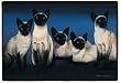 King of the East Siamese Cats Kittens Doormat Home Decor Mat Rug