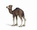 Toys : Schleich Dromedary Foal