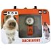 Electronics : Artlist Collection The Dog watch - Dachshund wrist watch