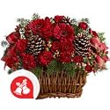Flowers - Season Of Joy(Christmas offer: Free Shipping)