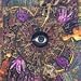 The Legendary Pink Dots-Crushed Velvet Apocalypse, The