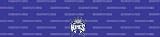 Sacramento Kings Team Auto Visor Decal
