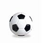 Planet Dog Orbee-Tuff Soccer Ball