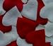 Heart Shaped Silk Rose Petals Wedding Favors Decor - 1000 Count - Iory & Burgundy