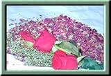 The Enchanted Wilderness Dried Red Rose Buds and Petals One Pound