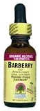 Barberry Root 1 fl. oz