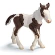 Schleich Horses: Tinker Foal