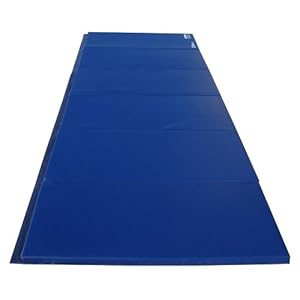 4'x12'x2 Gymnastics Tumbling Martial Arts V4 Folding Mat