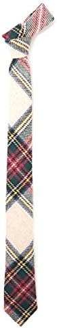 Ivy Prepster Men's Woven Tie - Structure State Necktie - Tartan One Size