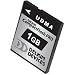 Electronics : Delkin 1Gb Compact Flash Pro Memory Card UDMA 305x
