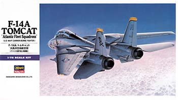 1/72F-14A トムキャット (オツ線)