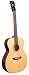 Recording King Classic Series II OOO Acoustic Guitar, Solid Rosewood Back & Sides