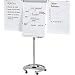 Franken Flipchart Professional Mobil/FC24 H�he 195 cm lichtgrau