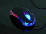 Electronics : Nexons Black Mini USB Optical Mouse