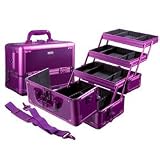 Sephora Brand Violet Train Case