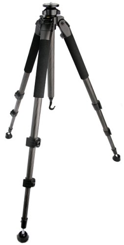 Carbon Fiber Leg Assembly 54.5
