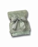 Bearington Baby Froggy Series: Silky Soft Security Blanket (Green) 16Square