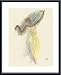 Art Poster Metal Framed Print - Cambodian Dancer - Artist: Auguste Rodin- Poster Size: 16 X 20