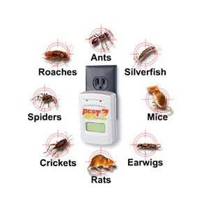 Childrens Toyshop  Outdoor Living : Pest Offense Pest Repeller