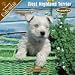   - 2008 Puppies : W. Highland Terrier 2008 16 Month Wall Calendar **IN STOCK NOW**