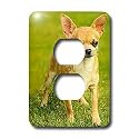 Dogs Chihuahua - Chihuahua - Light Switch Covers - 2 plug outlet cover