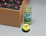 Dunlop Championship Tennis Balls - Case Pack
