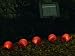 Hedgehog Solar Lights