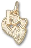Dallas Mavericks I Heart Logo 1/2 Charm/Pendant
