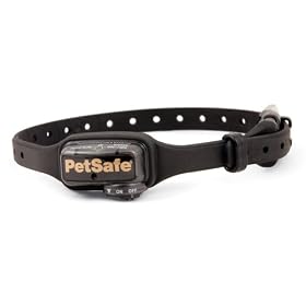 shock collar for dogs