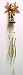 Beautiful Green Forest Fairy Wind Chimes Windchimes