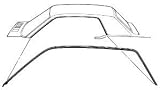 MUSTANG ROOFRAIL WEATHERSTRIP PAIR COUPE 1967-1968