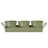 Apple Green Enamel Planters on a Tray