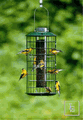 Metal Thistle Haven Feeder for Birds