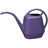 Bloem Living AW15-56 Aqua Rite Watering Can, 36-Ounce, Exotica