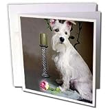 Dogs Schnauzer - White Schnauzer - Greeting Cards-12 Greeting Cards with envelopes