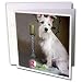   - Dogs Schnauzer - White Schnauzer - Greeting Cards-6 Greeting Cards with envelopes