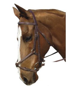 Collegiate Figure 8 Noseband Bridle