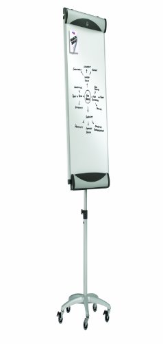 Quartet Euro Premium Mobile Magnetic Easel, Whiteboard/Flipchart, 27 x 41-Inch, Silver