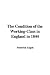 The Condition of the Working-Class in England in 1844