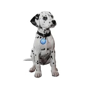 Puppy Tweets Blue