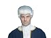 Colonial Wig Adult