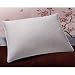 European ELITE 1200 TC 100% Egyptian Cotton Goose Down Pillow European ELITE 1200 TC 100% Egyptian Cotton Goose Down Pillow