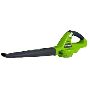 Greenworks 24602 20 Volt Lithium Ion 2-Speed Cordless Electric Blower (No Battery or Charger)