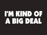 #155 Im Kind Of A Big Deal Bumper Sticker / Vinyl Decal