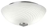 Forecast F606536U 2 Light Energy Efficient Exhale Flush Mount