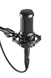 Audio-Technica AT2035 Large Diaphragm Studio Condenser Microphone