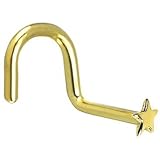 Solid 14KT White Gold Star Nose Bone - 20 Gauge