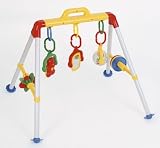 Activity Play Gym
