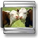 Kissing Cows Italian charm